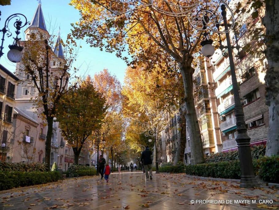 Center Wifi Parking Free Apartment Granada Bagian luar foto